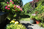 Shasta Garden